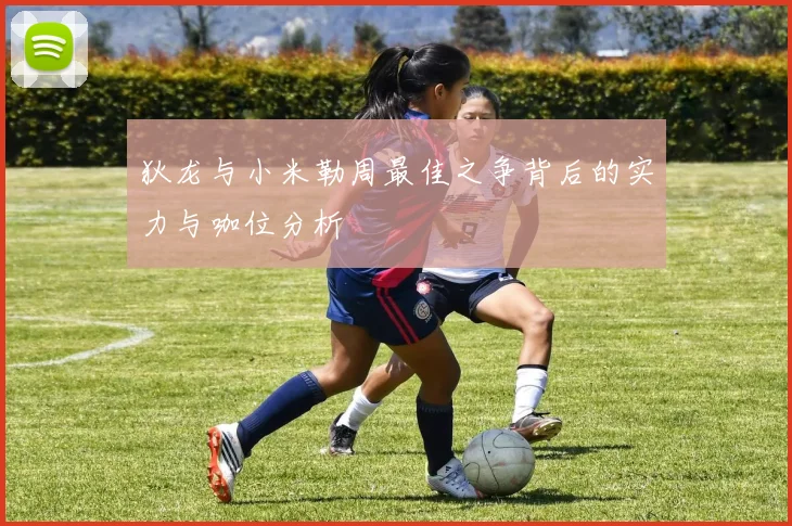 狄龙与小米勒周最佳之争背后的实力与咖位分析